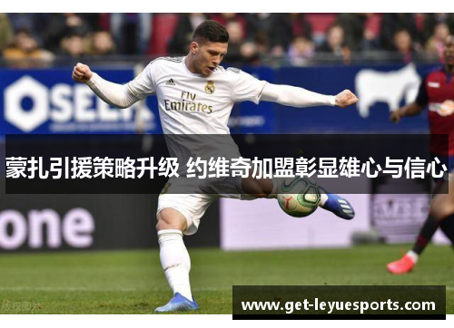 蒙扎引援策略升级 约维奇加盟彰显雄心与信心