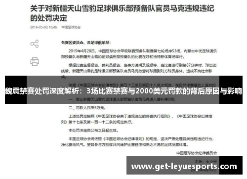 魏震禁赛处罚深度解析：3场比赛禁赛与2000美元罚款的背后原因与影响